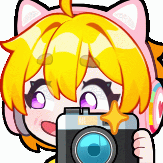 B31 - Camera Sus